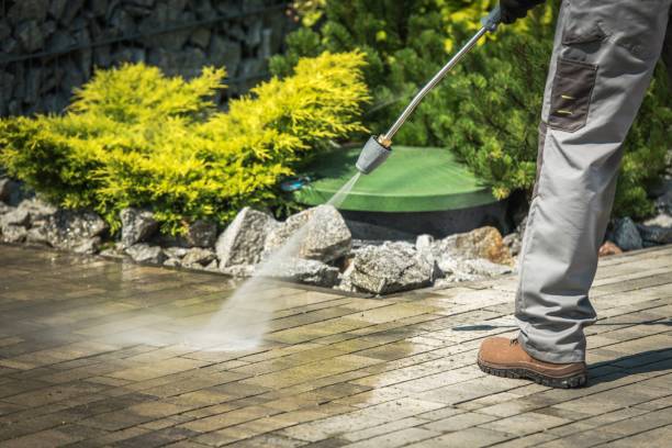 Best Pre-Holiday Cleaning  in Baxter, MN