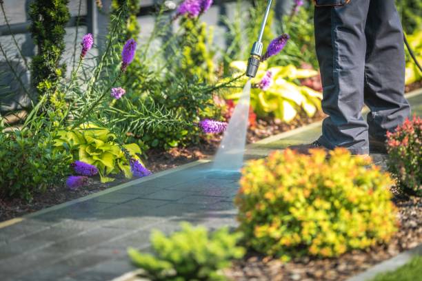 Best Driveway Pressure Washing  in Baxter, MN
