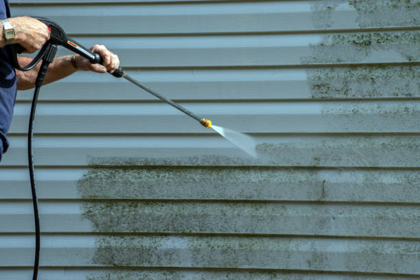 Best Gutter Cleaning  in Baxter, MN